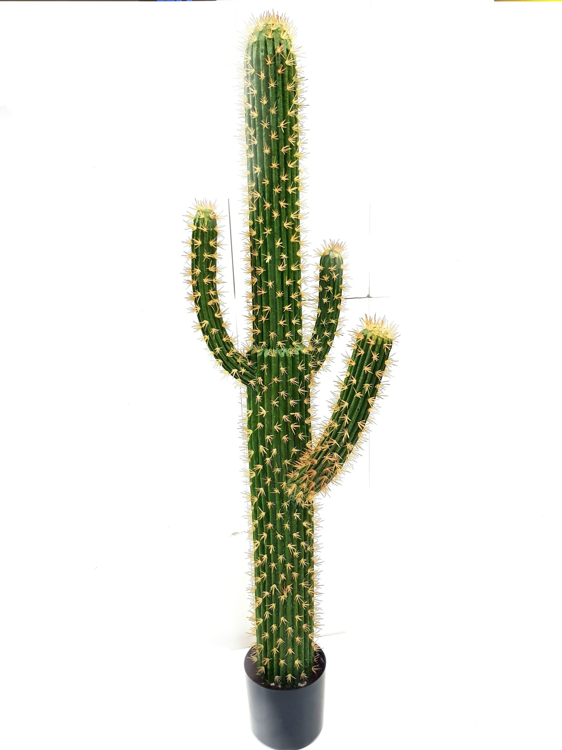 Sewa pokok kaktus fake cactus Tall artificial cactus 